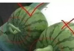 QQ上免费的吃瓜群有什么坏处,揭秘免费吃瓜群背后的潜在风险与弊端